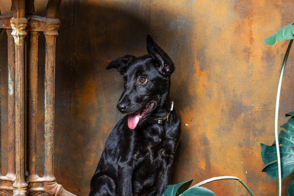 Photograph by Андрей Кульков