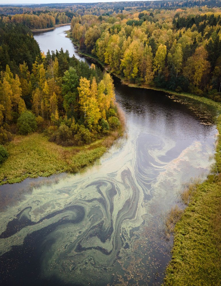 Photograph by Анастасия Юсова