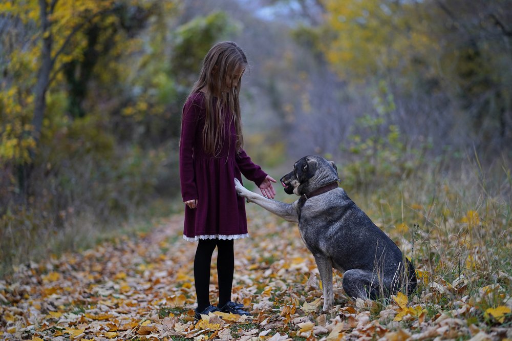Photograph by Алина Игошева