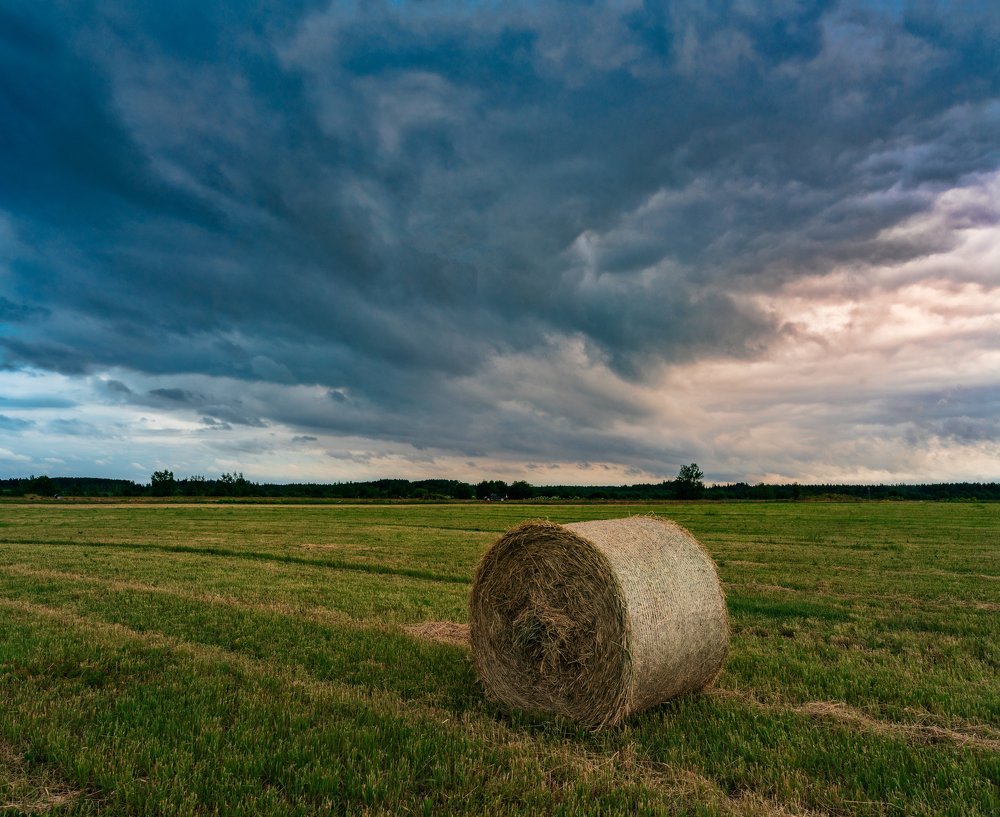 Photograph by Игорь Мозель