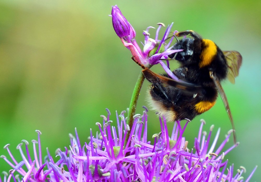 Photograph by Дмитрий Волков