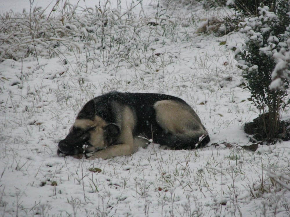 Photograph by Vlad Proshin