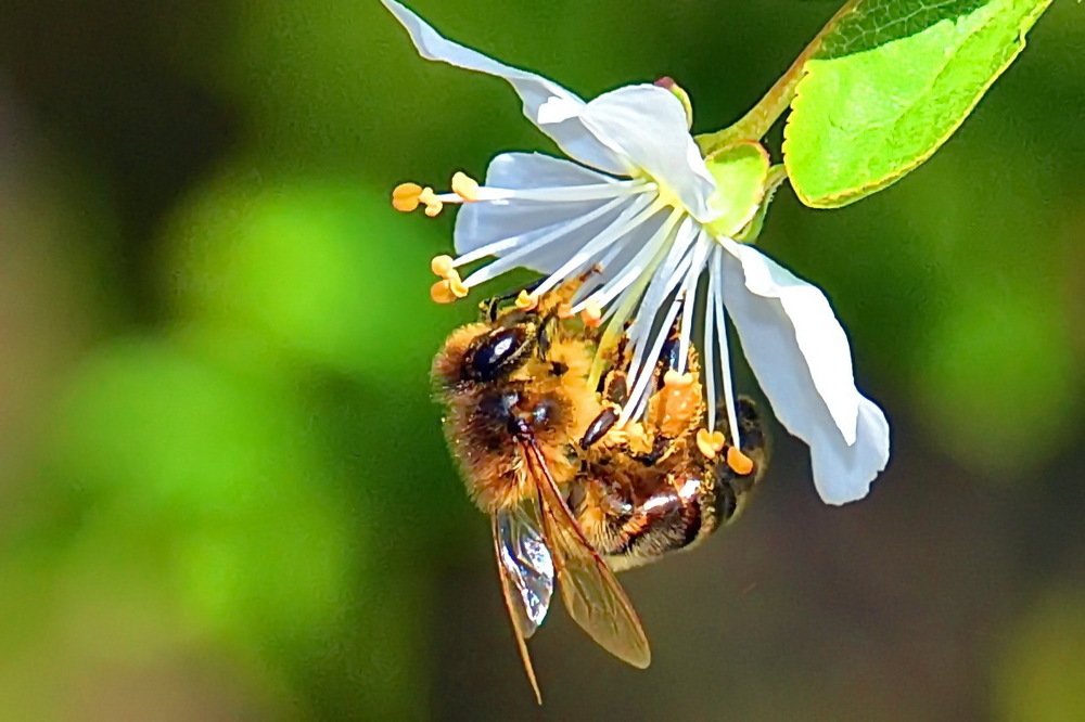 Photograph by Дмитрий Волков