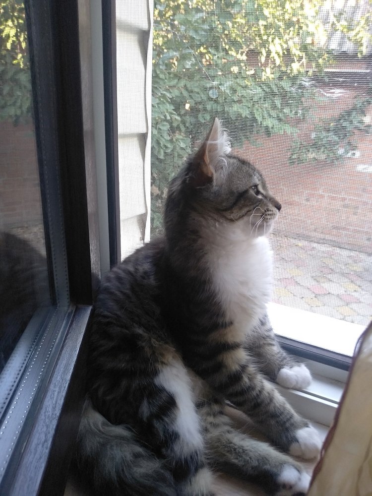 Photograph by Vlad Proshin