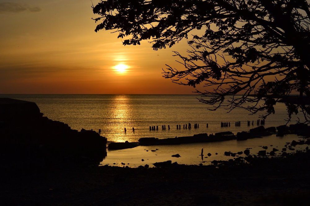 Photograph by Дмитрий Волков