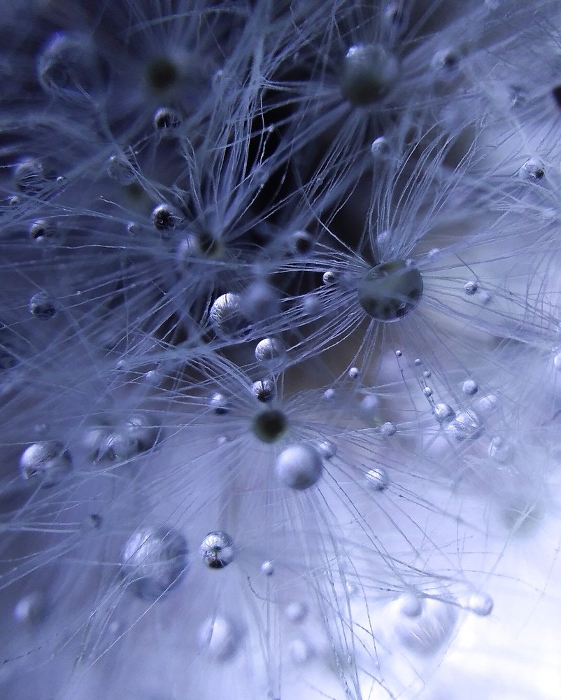 Photograph by Марина Ескова