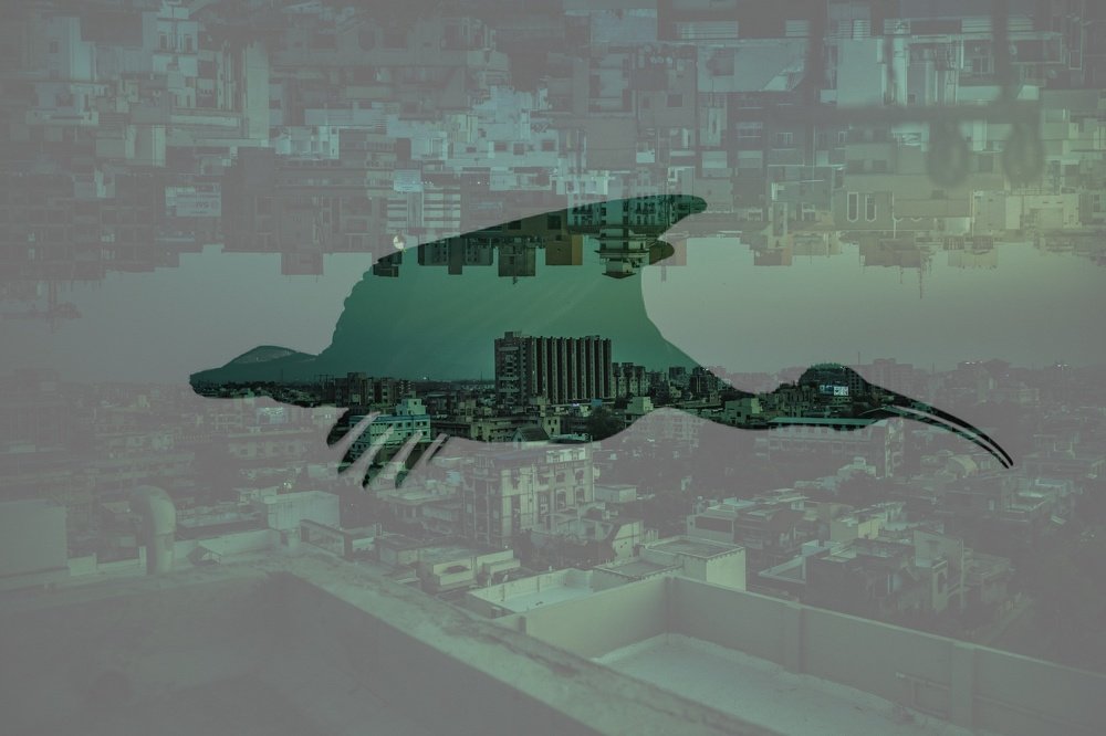 Photograph by Rohan Prajapati