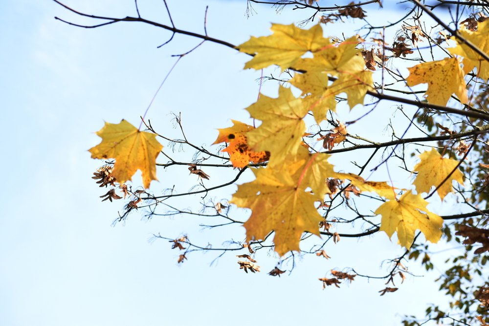 Photograph by Татьяна Крахина