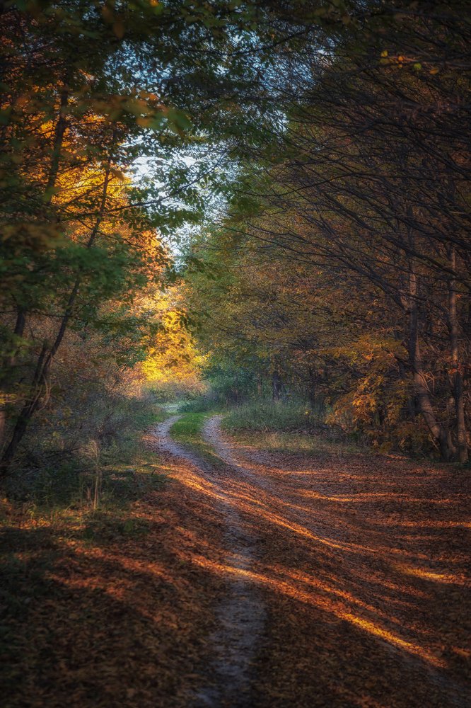 Photograph by rashtipour