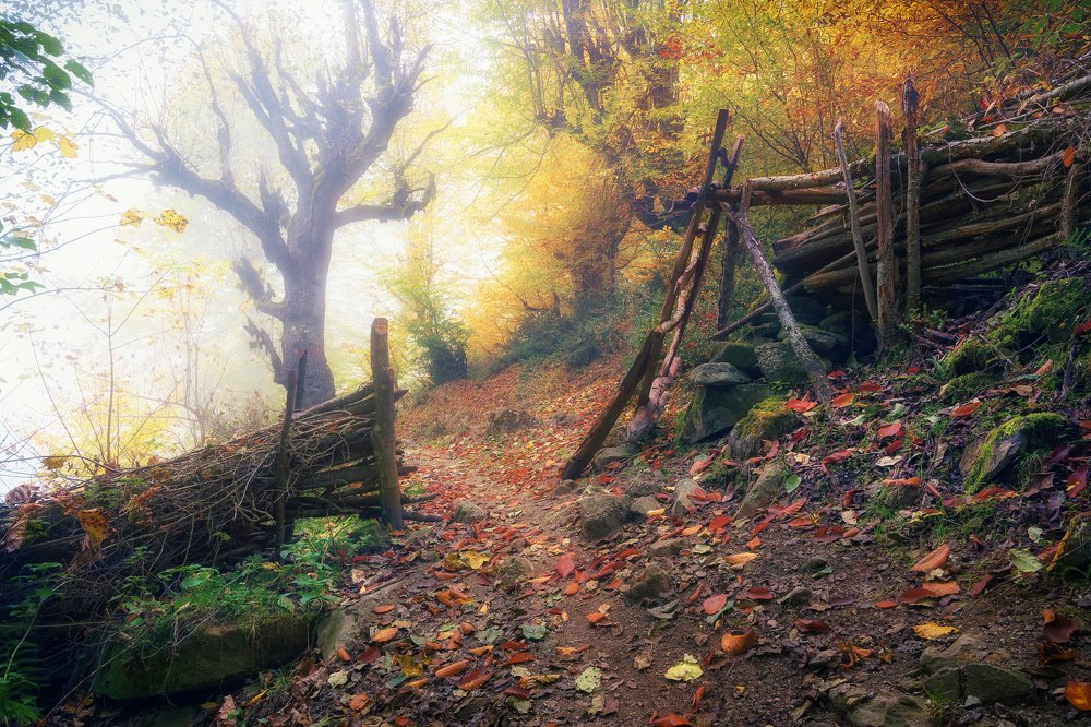 Photograph by rashtipour