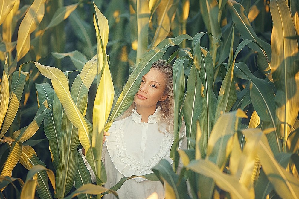 Photograph by Кулик Ольга