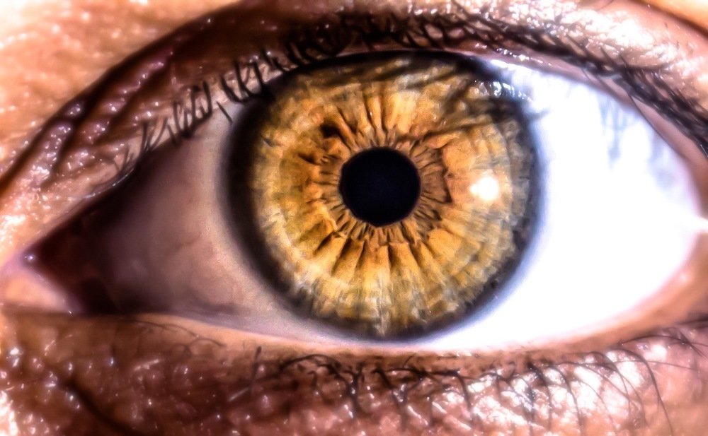 Photograph by Nyonika Rawal