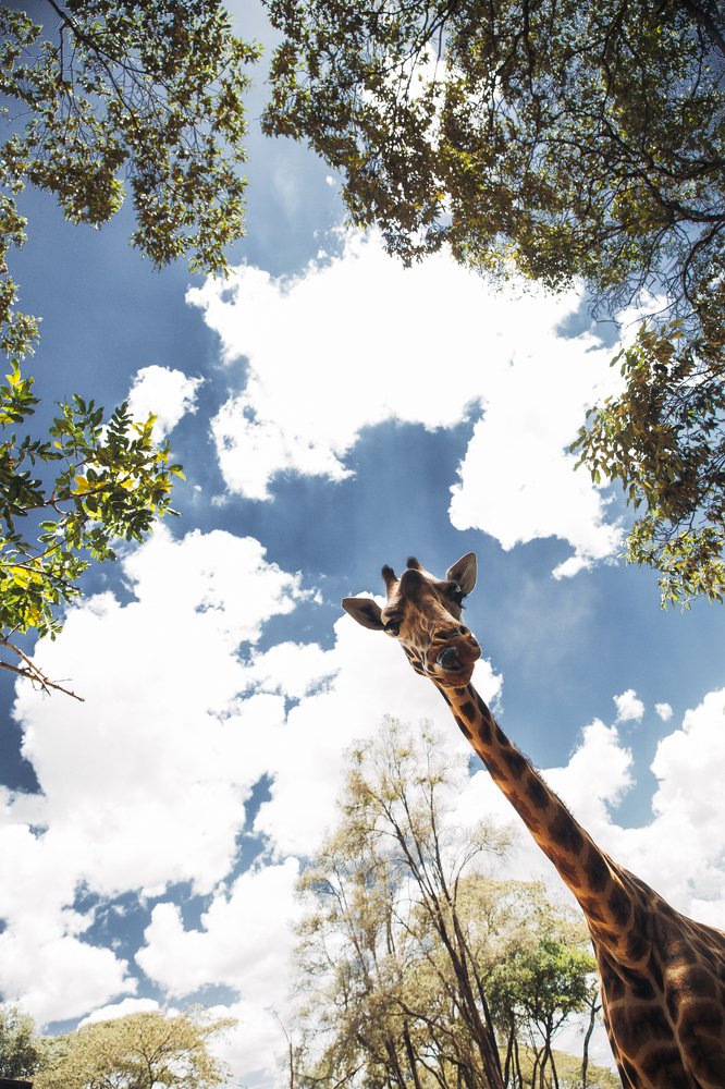 Photograph by Юрий Паккерт