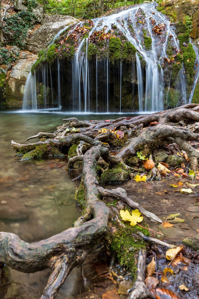 Photograph by Оксана Сухарева