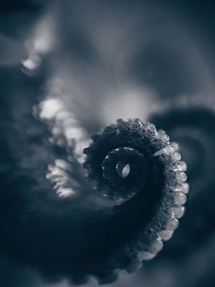 Photograph by Светлана Валентионок