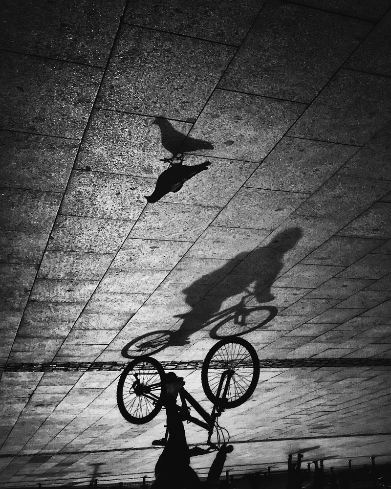 Photograph by Yalim Vural