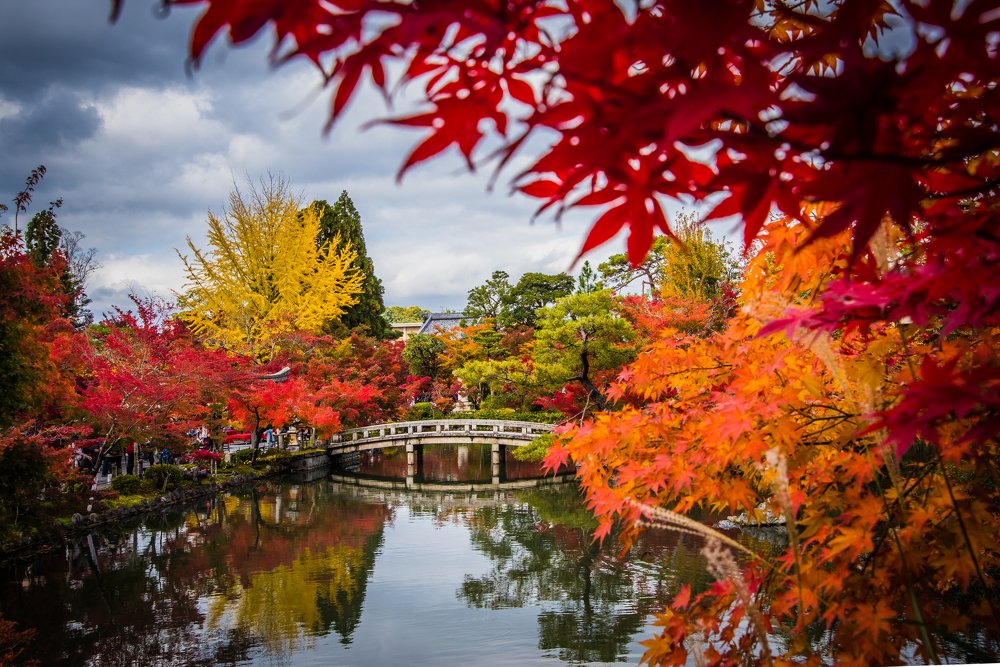 Photograph by Ailin Hanono