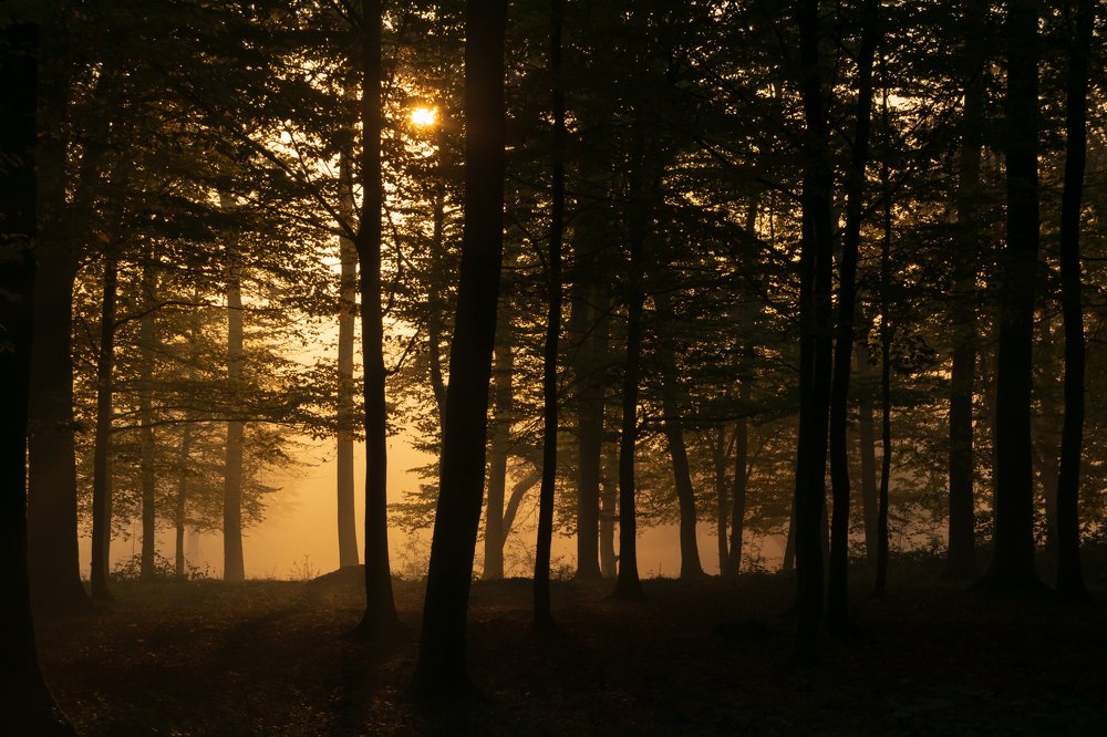 Фотография автора Libardi Gino