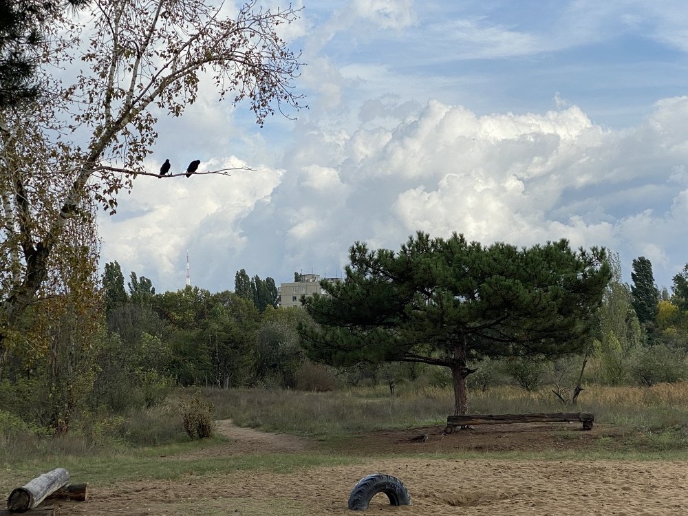 Дыхание осени