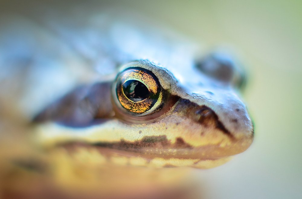 Photograph by Сергей Глухарев