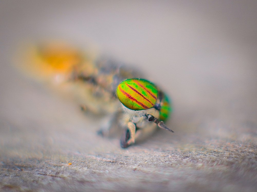 Photograph by Сергей Глухарев