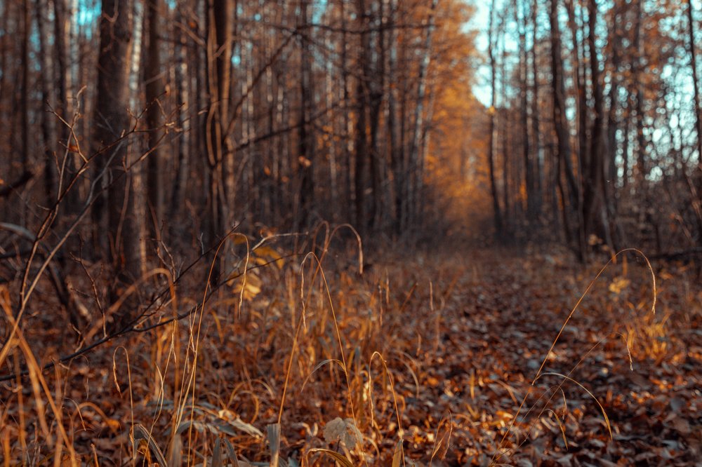 Photograph by Мария Скрябина