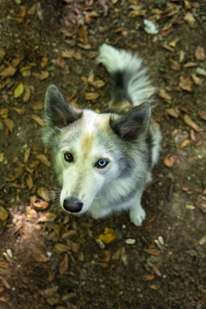 Photograph by rashtipour