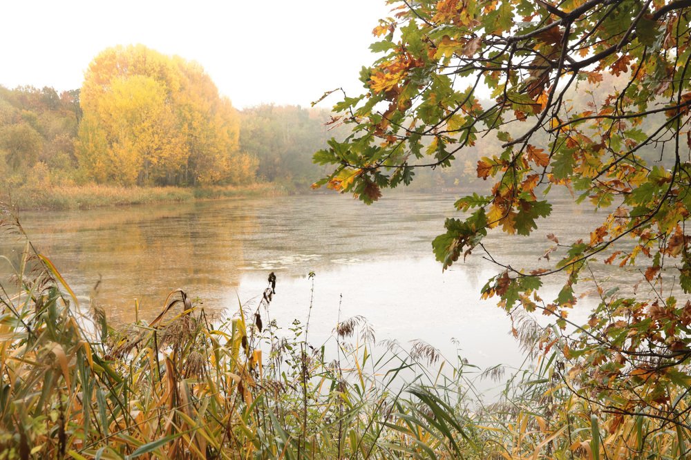 Photograph by Ольга Силакова