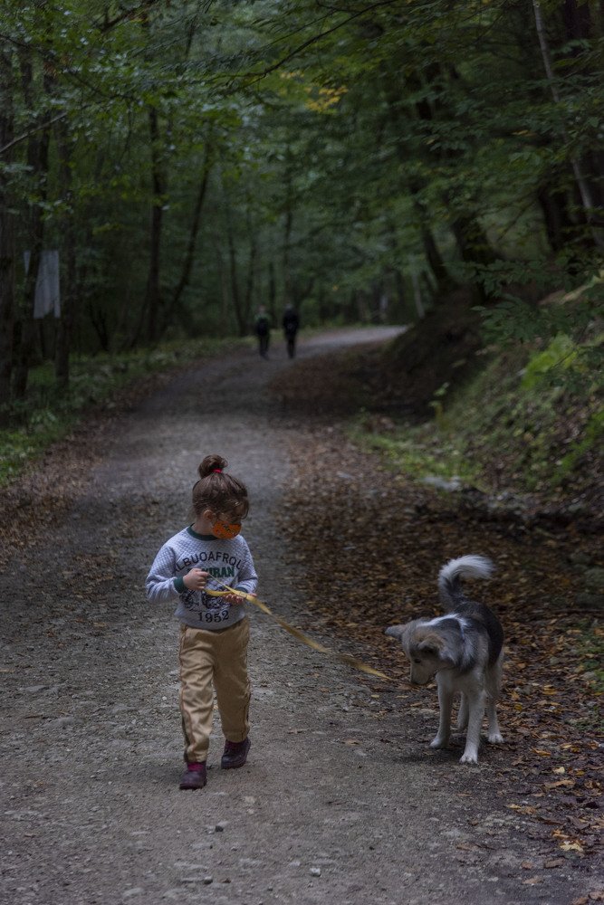 Photograph by rashtipour