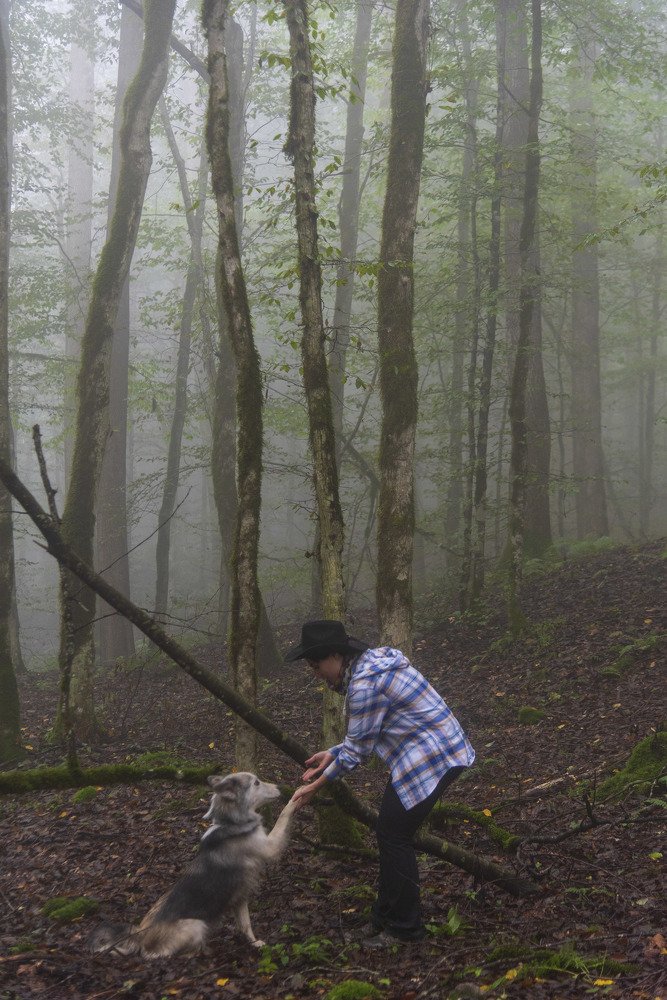 Photograph by rashtipour