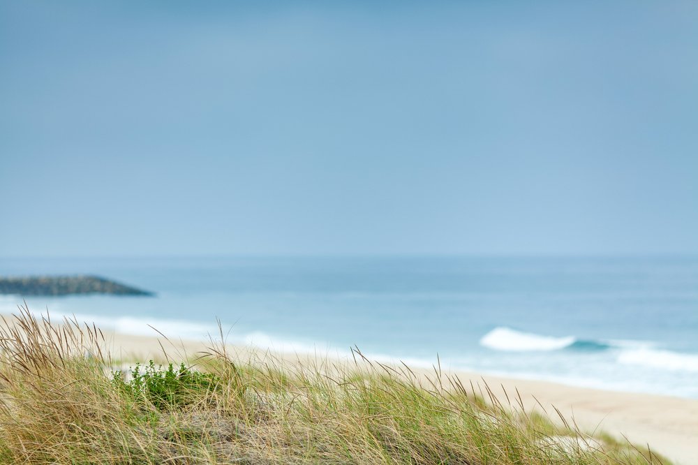 Фотография автора Coimbra Zonov