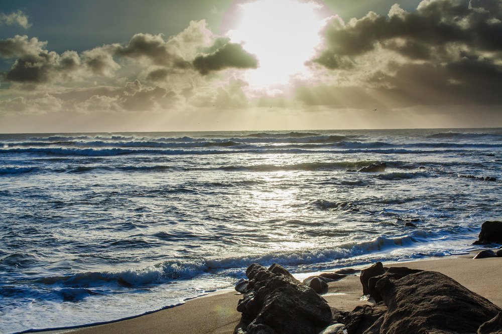 Фотография автора Coimbra Zonov