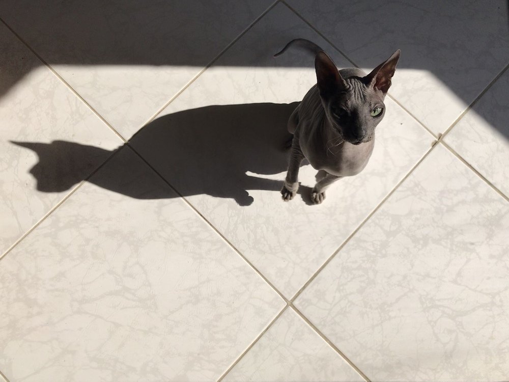 Photograph by Мария Берёзка