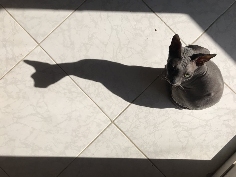 Photograph by Мария Берёзка