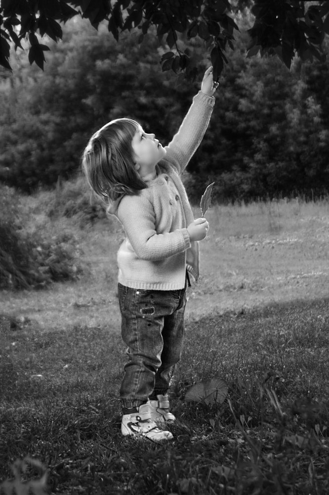 Photograph by Маргарита Гасец