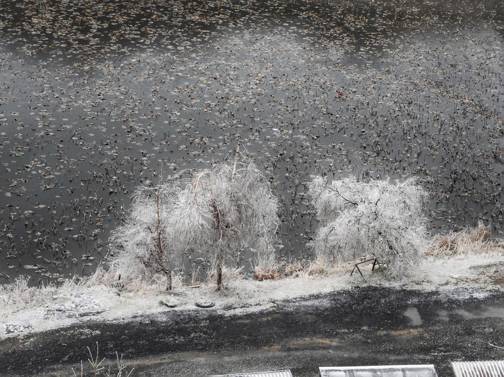 Photograph by Andrey Matveenko