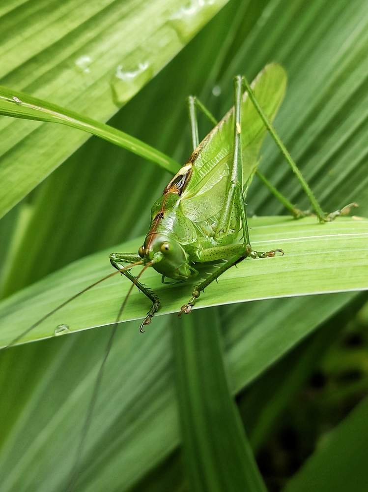 Photograph by Алеся Писнова