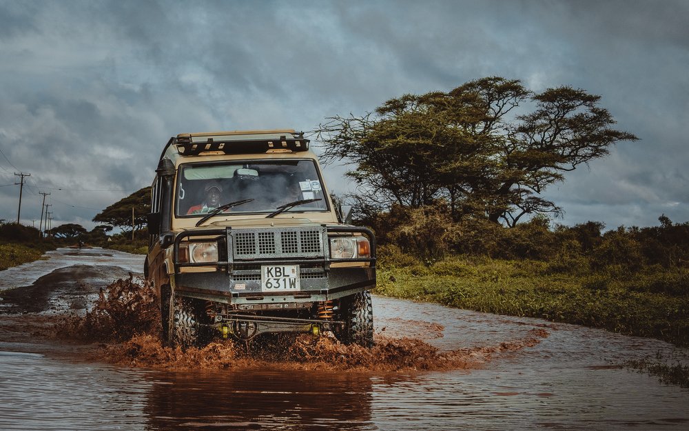 Photograph by Дмитрий Николаев