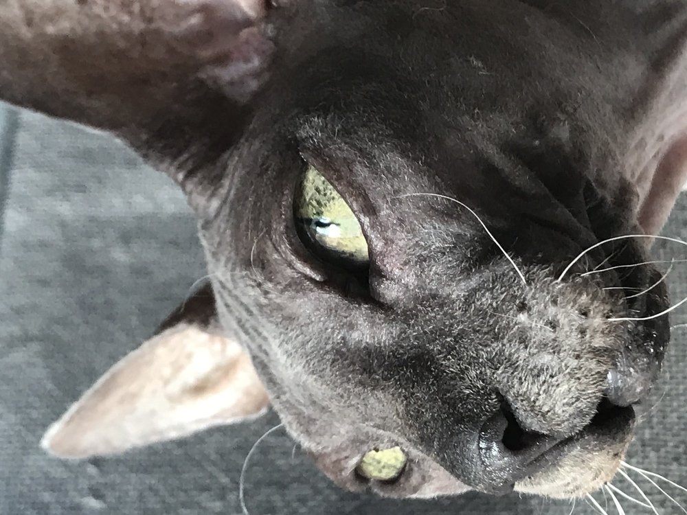 Photograph by Мария Берёзка