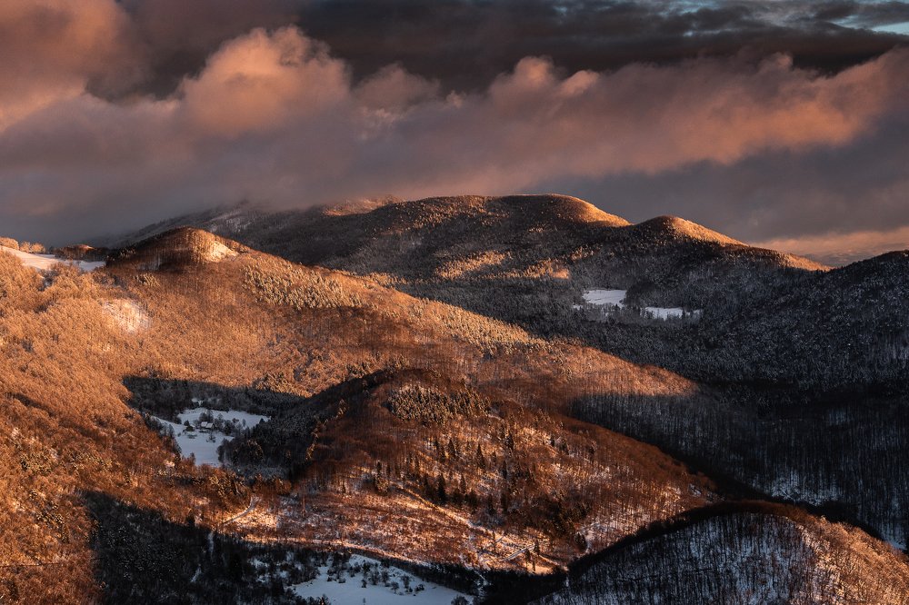 Photograph by Jernej Peljhan