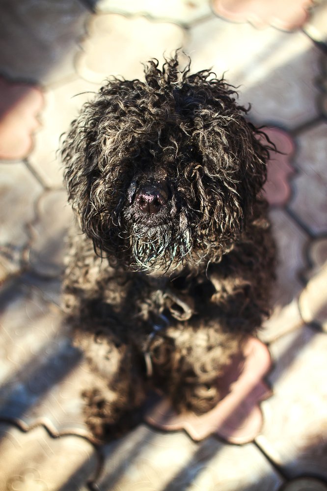 Photograph by Ирина Подать