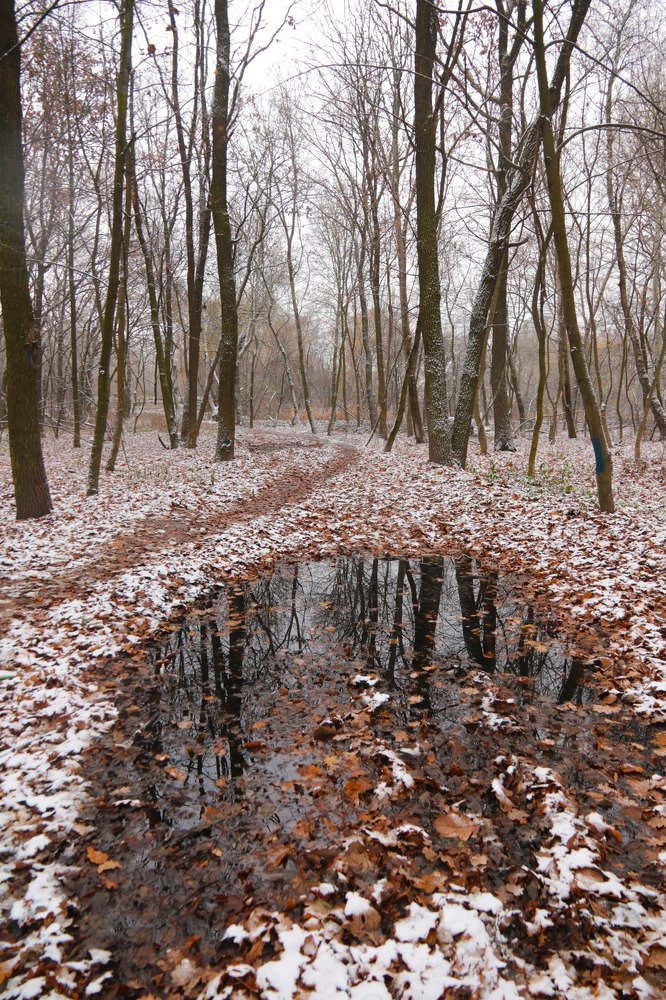 Photograph by Ольга Силакова