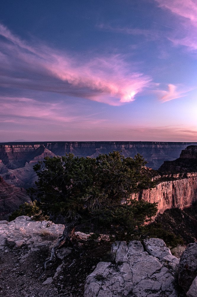 Photograph by Jernej Peljhan