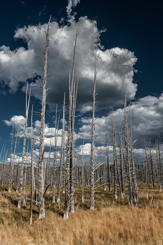 Photograph by Jernej Peljhan