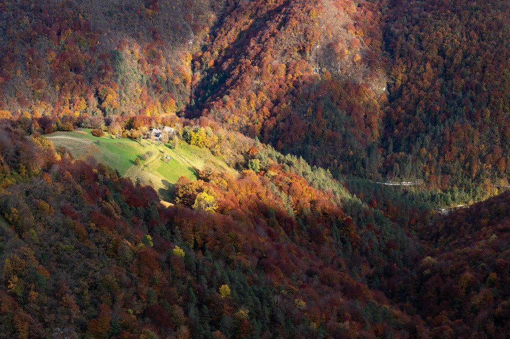 Photograph by Jernej Peljhan