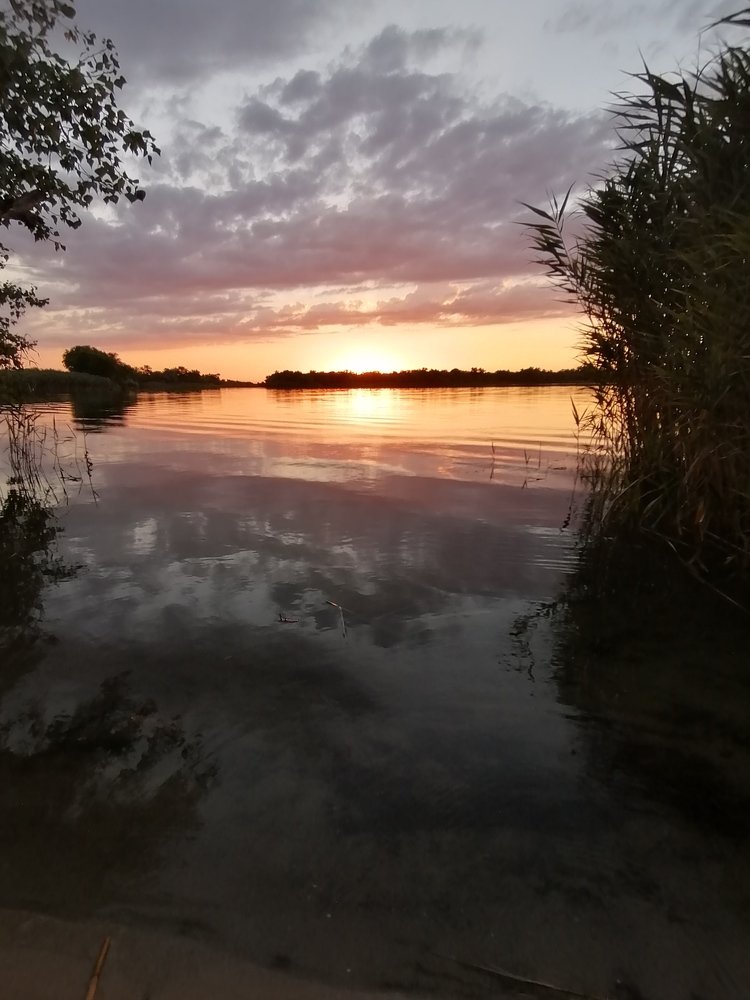 Photograph by Ирина Сучкова