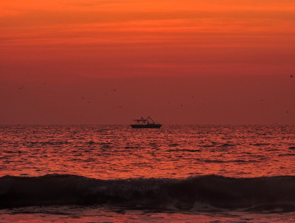 Photograph by Divyansh