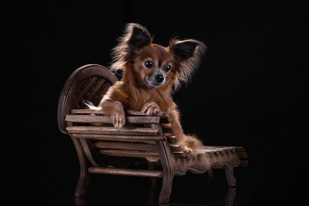 Photograph by Елена Соловьева