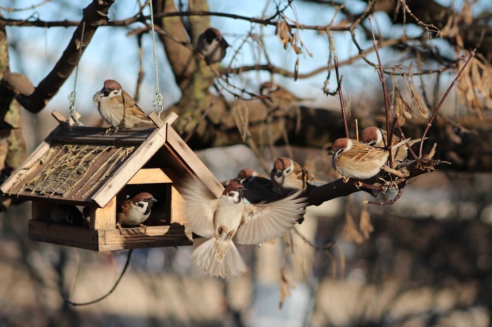 Photograph by Galina Tsmyg