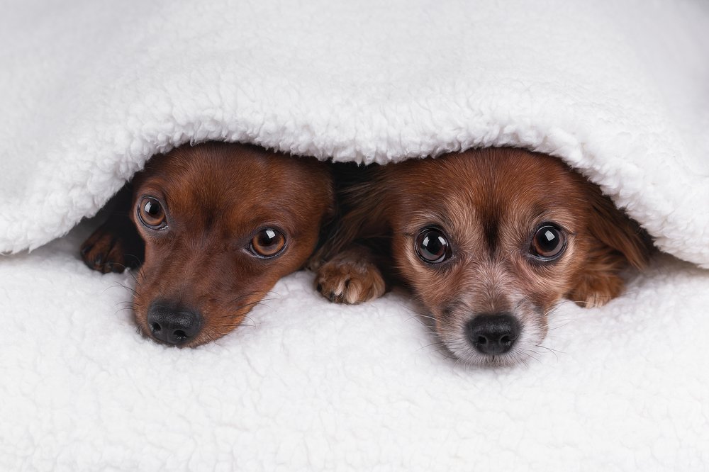 Photograph by Елена Соловьева